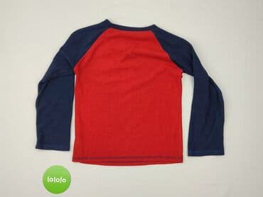 skarpety dexshell: Sweatshirt, St. Bernard, 10 years, 134-140 cm, condition - Very good — 3