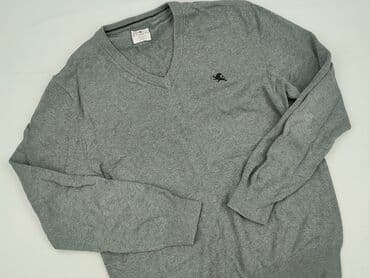 sweter z kotkiem: Express, Sweter dla mężczyzn, L — 1