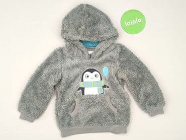 swetrowa sukienka h: Sweatshirt, Pepco, 1.5-2 years, 86-92 cm, condition - Perfect — 2