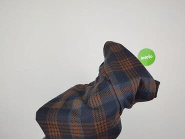 tom rose spodnie: Terranova, Spodnie materiałowe damskie, rozmiar XS — 5