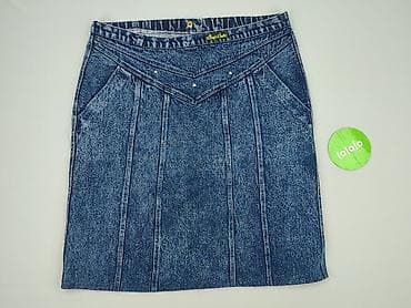 tk maxx spódnice: Classic, Spódnica damska, rozmiar 2XL — 2