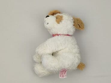 slask wroclaw koszulki: Mascot Dog, condition - Perfect — 3