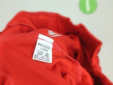 asics spodnie dresowe: 4F, Spodnie dresowe damskie, L — 4