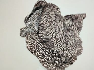 przezroczysta bluzka sinsay: Sinsay, Bluzka damska, rozmiar L — 7