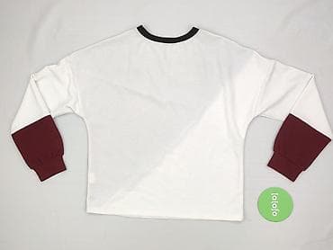 clockhouse sweter: Shein, Bluza damska
, rozmiar XS — 5