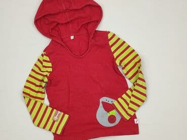 kurtka napapijri: Sweatshirt, 4-5 years, 104-110 cm, condition - Perfect — 1
