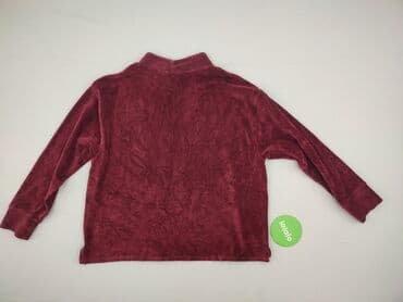 lidl swetry damskie rozpinane: Nutmeg, Жіноча блуза, розмір 2XL — 3