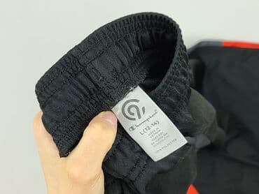 spodnie z siateczką: Spodnie dresowe damskie, rozmiar L — 5