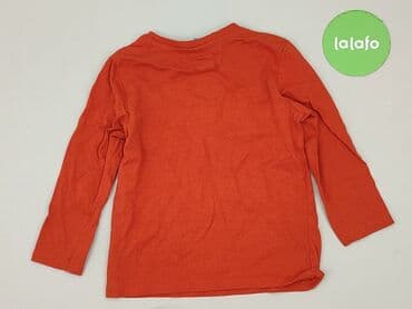 czapka bobo choses: Sweatshirt, Little kids, 3-4 years, 98-104 cm, condition - Very good — 3