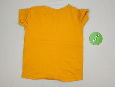koszulka scott: Tom Rose, T-shirt damski, rozmiar M — 3