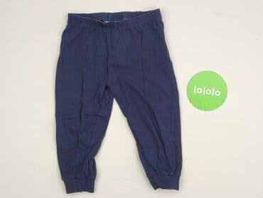 sukienka sweter h: Sweatpants, Lupilu, 1.5-2 years, 92, condition - Perfect — 2