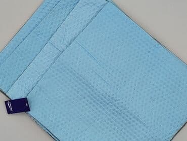 PL - Pillow 41 x 41, color - Light blue, condition - Very good at lalafo.pl PL - Pillow 41 x 41, color - Light blue, condition - Very good