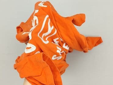 t shirty hollister: Hollister, T-shirt damski, rozmiar L — 6