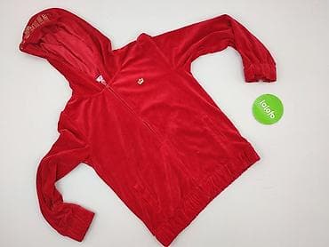 kurtka freddie mercury: Bluza z kapturem damska, rozmiar XL — 2