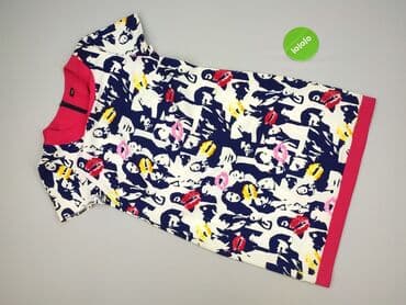 zara sukienka zebra: Sukienka damska, rozmiar 2XL — 2