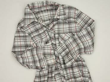 pitbull koszulka termoaktywna: Women`s shirt, size 3XL (EU 46) — 1