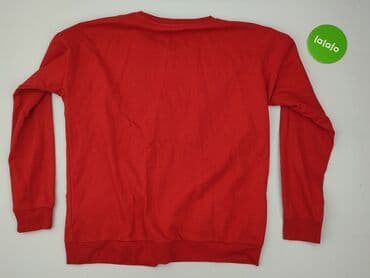 sweter miś uszatek: Colloseum, Bluza damska
, M — 3