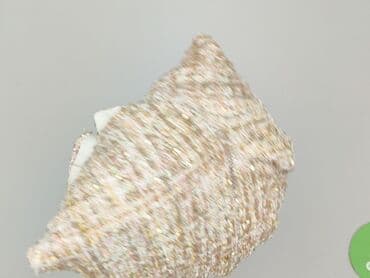 marynarka edan massimo: Boohoo, Marynarka damska, M — 7