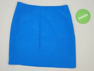 spódnice one teaspoon: Amisu, Спідниця жіноча, S — 3