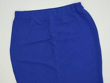 spódnice basic selfieroom: Spódnica damska, rozmiar 2XL — 1