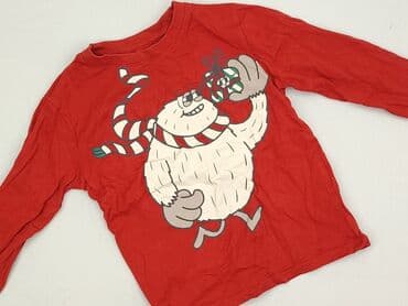 koszulka wilk i zając: Blouse, H&M, 5-6 years, 110-116 cm, condition - Very good — 1