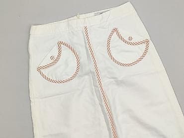 Zara, Women`s skirt, size L