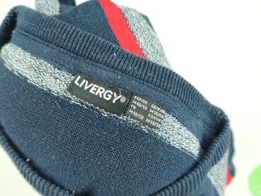 kurtka wiosenna lidl: Livergy, Sweter dla mężczyzn, M — 6