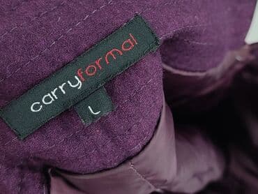 plisowane spódnice i marynarka: Carry, Спідниця жіноча, розмір L — 4