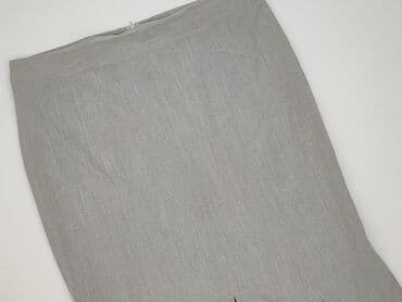 plisowane spódnice srebrne: Spódnica damska, rozmiar 4XL — 1