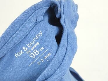 top z bufkami: Світшот, Fox&Bunny, 2-3 р., 92-98 см, стан - Дуже гарний — 5