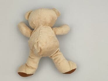 c: Mascot Teddy bear, condition - Perfect — 3