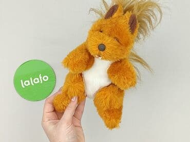 kapcie w ccc: Mascot condition - Perfect — 4