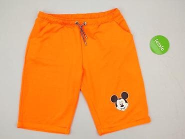 t shirty lime: Szorty damskie, rozmiar 3XL — 2