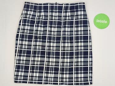 plisowane spódnice lidl: Caroline Biss, Spódnica damska, 2XL — 3