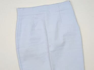 Zara, Women`s skirt, size L