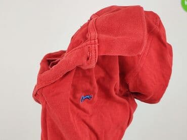 bluzki dalmatynczyk: Koszulka polo dla mężczyzn, rozmiar L — 6