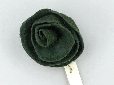 Accessories: Pin, condition - Very good — 1