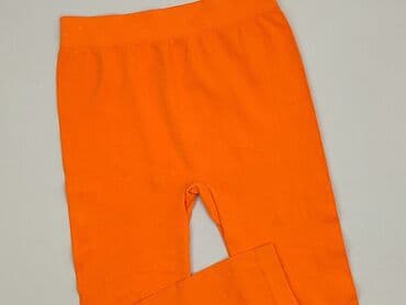 legginsy woskowane wysoki stan: Leggings Shorts for women, size S (EU 36) — 1