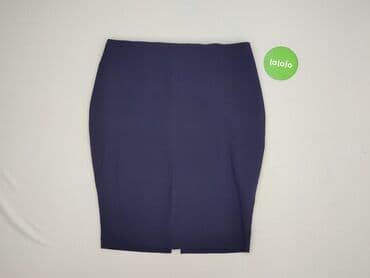plisowane spódnice dla niskich: Spódnica damska, rozmiar 2XL — 2