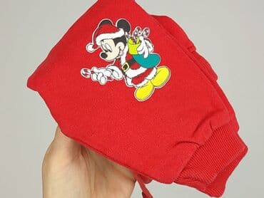 spodnie dla niskiej osoby: Sweatpants, Disney, 3-6 months, condition - Perfect — 6