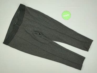 leginsy janina: Janina, Spodnie materiałowe damskie, rozmiar 3XL — 2