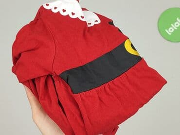 sukienka c and a: Dress, Sinsay, 9-12 months, condition - Good — 5