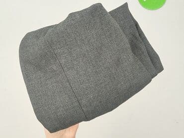 plisowane spódnice szara: Tailored, Spódnica damska, rozmiar 2XL — 5