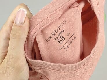 koszulka lemonada: T-shirt, Fox&Bunny, 3-6 months, condition - Very good — 5
