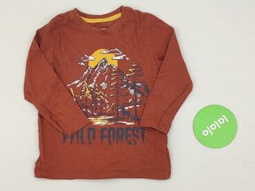 kurtka napapijri: Sweatshirt, Little kids, 3-4 years, 98-104 cm, condition - Very good — 2