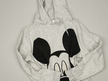 H&M, Women`s hoodie, size S