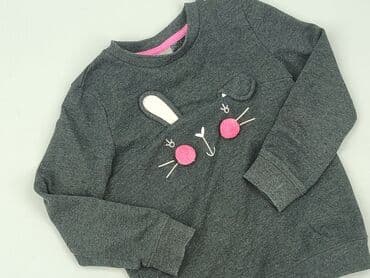 Sweatshirt, Little kids, 5-6 years, 110-116 cm, condition - Very good