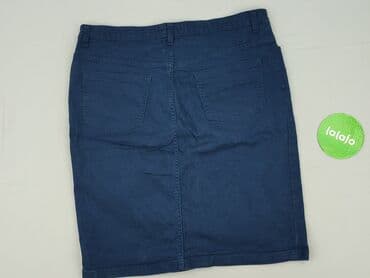 niebieska spódnice plisowane: Spódnica damska, XL — 3