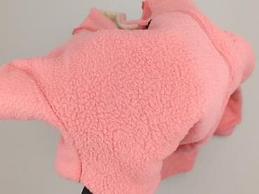 bluza chicago h: Bluza damska
, rozmiar XS — 5