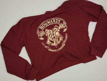 koszulki z mlp: Harry Potter, Women`s hoodie, size S (EU 36) — 1